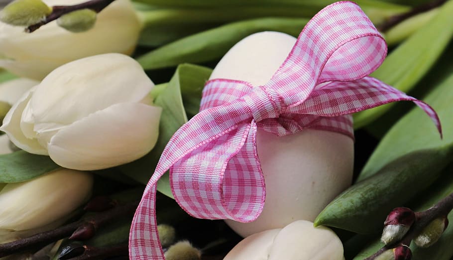 egg with bow on white lily flower, easter egg, willow catkin HD wallpaper
