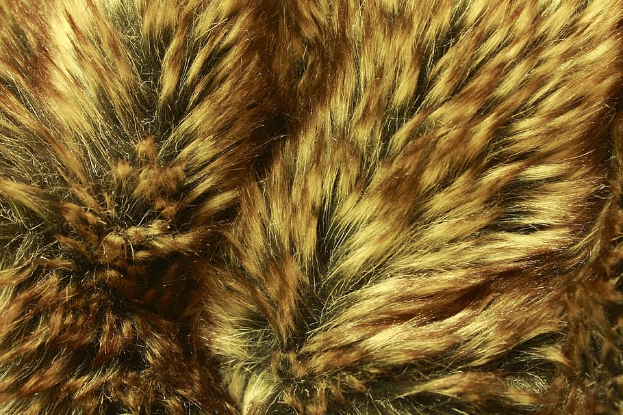 fur, soft, cuddly, fluffy, full frame, backgrounds, close-up HD wallpaper