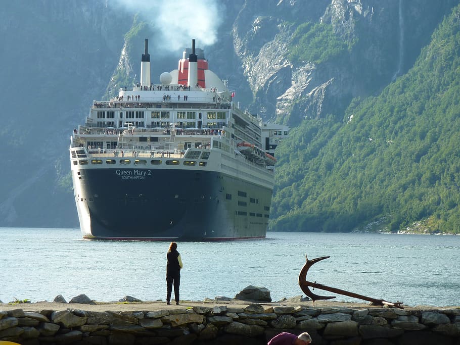 person looking at cruise ship during daytime, passenger ship