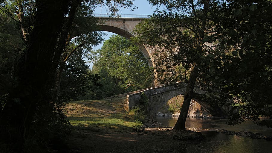 bridge, light, river, cure, bridges, tree, plant, connection HD wallpaper
