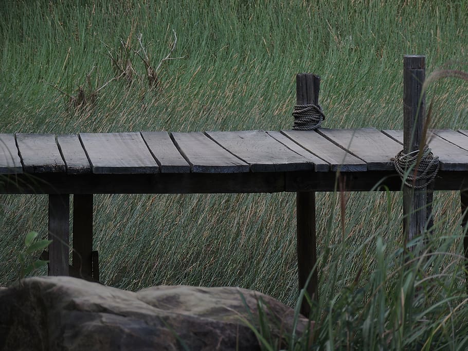 dock, grass, grass field, rock, wood, wood - Material, nature HD wallpaper