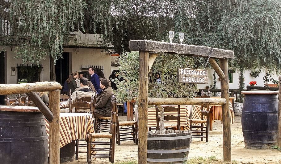 andalusian bodegón, restaurant, dew, real people, tree, men HD wallpaper