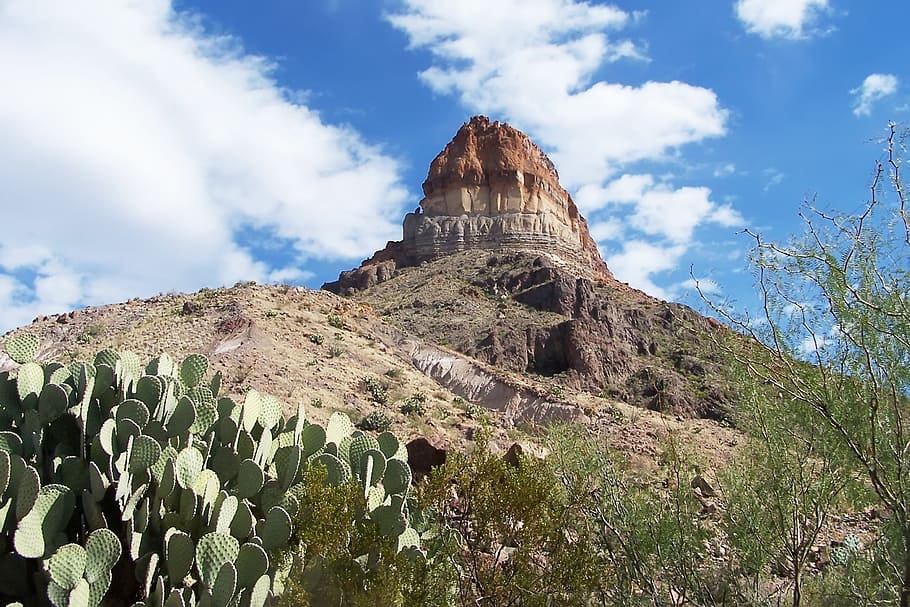 Desert, Peak, Mountain, Arizona, Cactus, landscape, west, united states, HD wallpaper