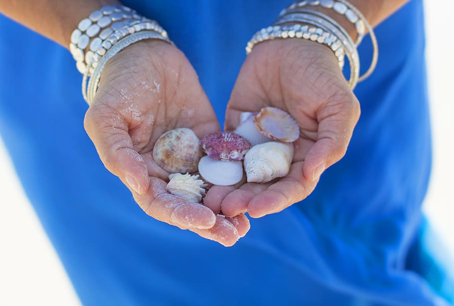 woman holding assorted-color shells, beach, ocean, vacation, sea