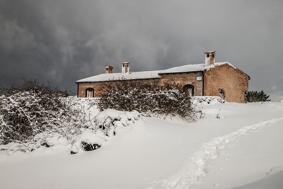winter, snow, cold, nature, frozen, etna west, cold temperature HD wallpaper
