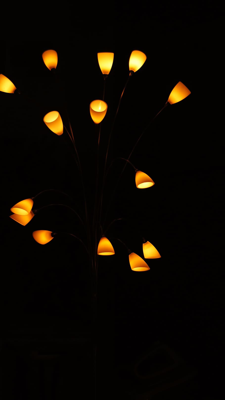 Light, Lamp, Atmosphere, night, black background, illuminated HD wallpaper