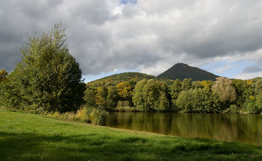 autumn, pond, tree, landscape, edge of the pond, nature, water HD wallpaper