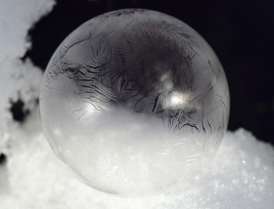 selective focus photography of frozen bubble, soap bubble, frosted HD wallpaper
