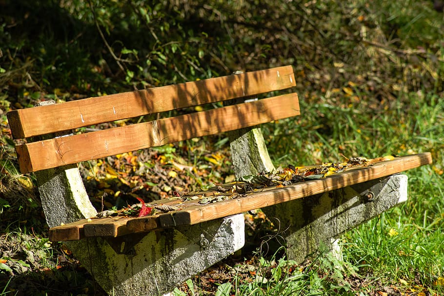 bench, wood, rest, fall, autumn, leaf, leaves, wooden, outdoor HD wallpaper