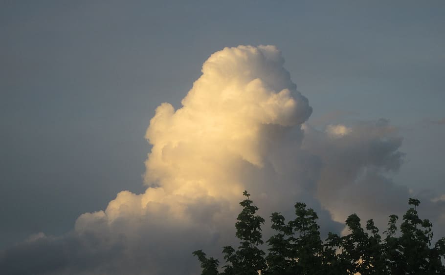 cloud, sky, evening sky, cloud - sky, beauty in nature, tree HD wallpaper