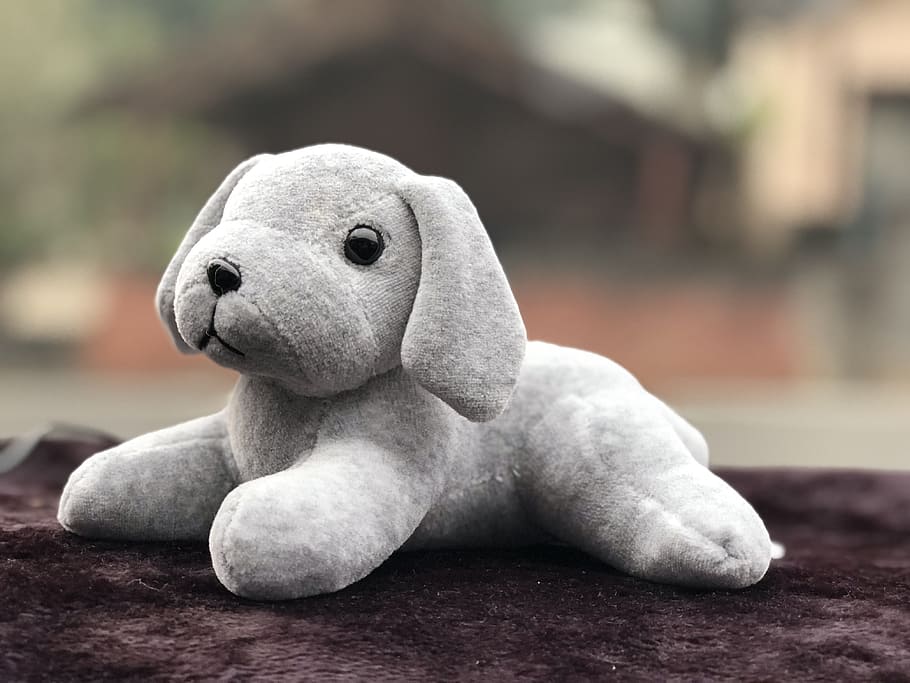 cute, toys, gray, compact, stuffed toy, representation, focus on foreground HD wallpaper