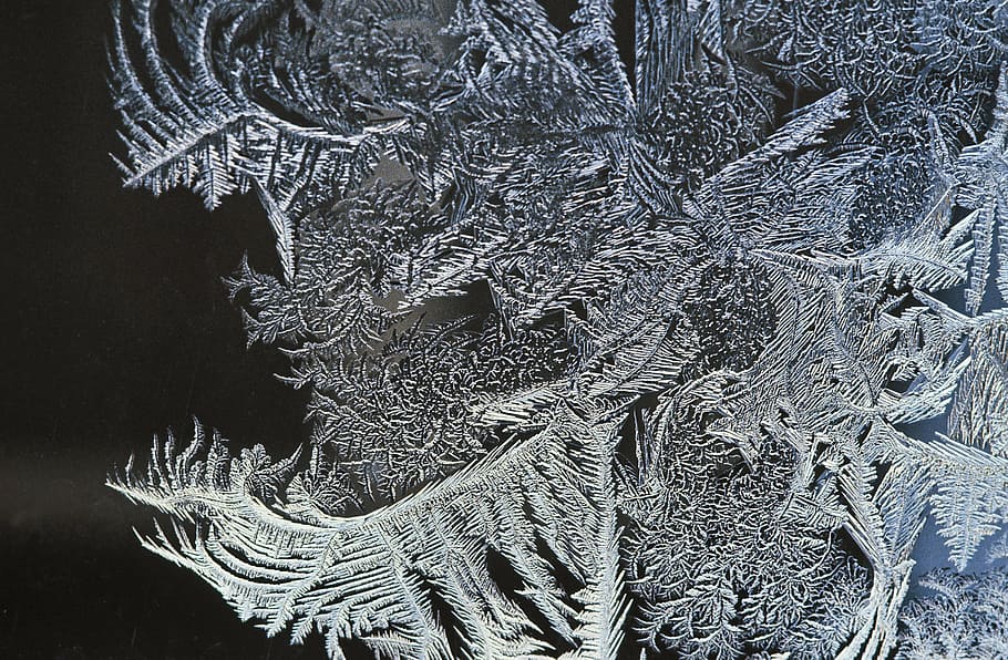 gray leaf ornament, hardest, window, ice, eiskristalle, frozen HD wallpaper
