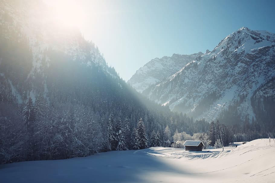 snowy mountain surrounded with trees, black wooden house near forest and mountains covered in snow during daytime HD wallpaper