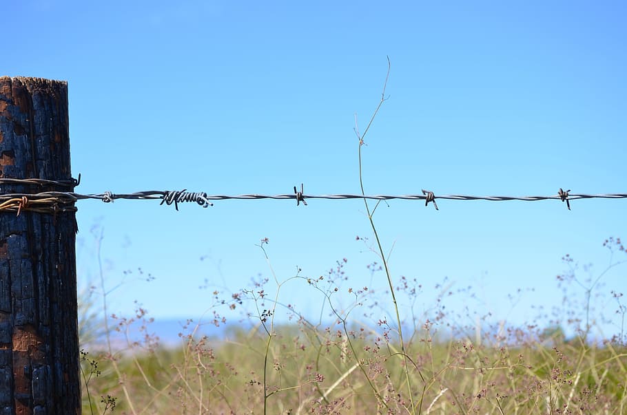 green, grass, barbed, wire, wood, clouds, blue, sky, nature HD wallpaper