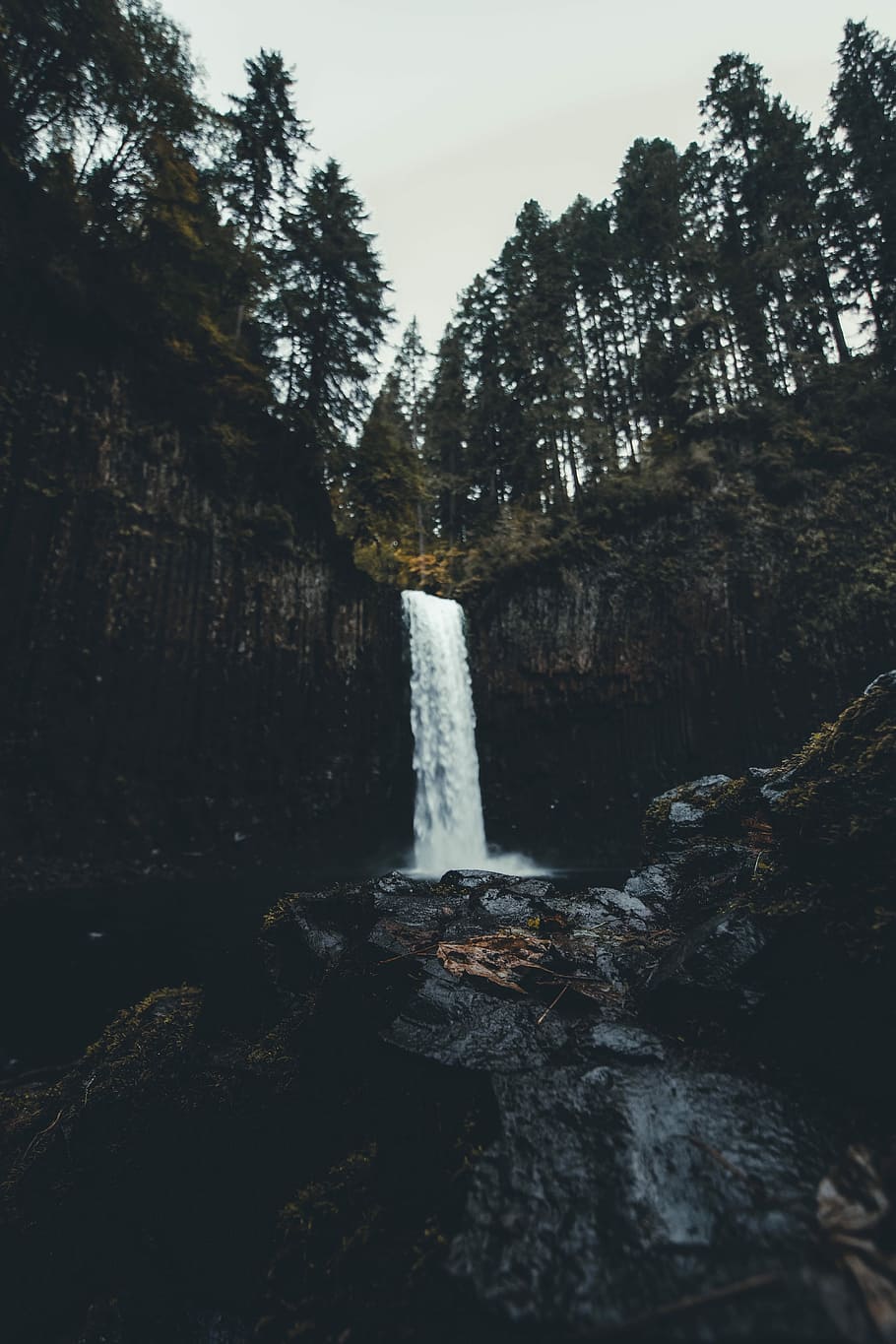 waterfalls near trees at daytime, waterfalls near forest under gray sky during daytime HD wallpaper