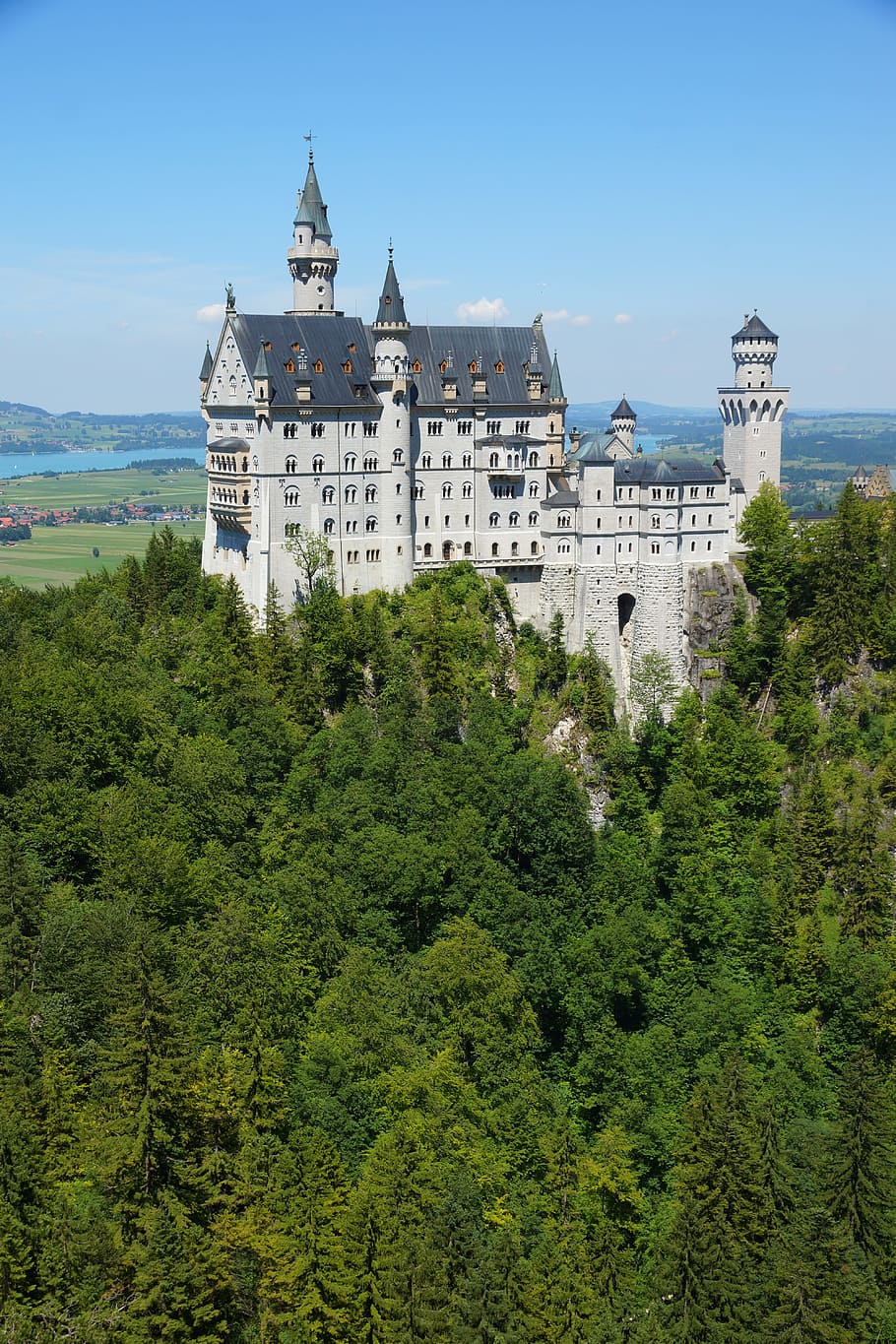 Castle, Forest, Germany, Füssen, kristin, king ludwig, architecture HD wallpaper