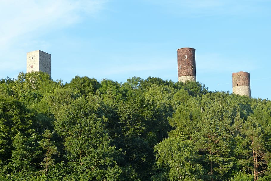 castle, checiny, castle checiny, monument, forest, tree, tower HD wallpaper