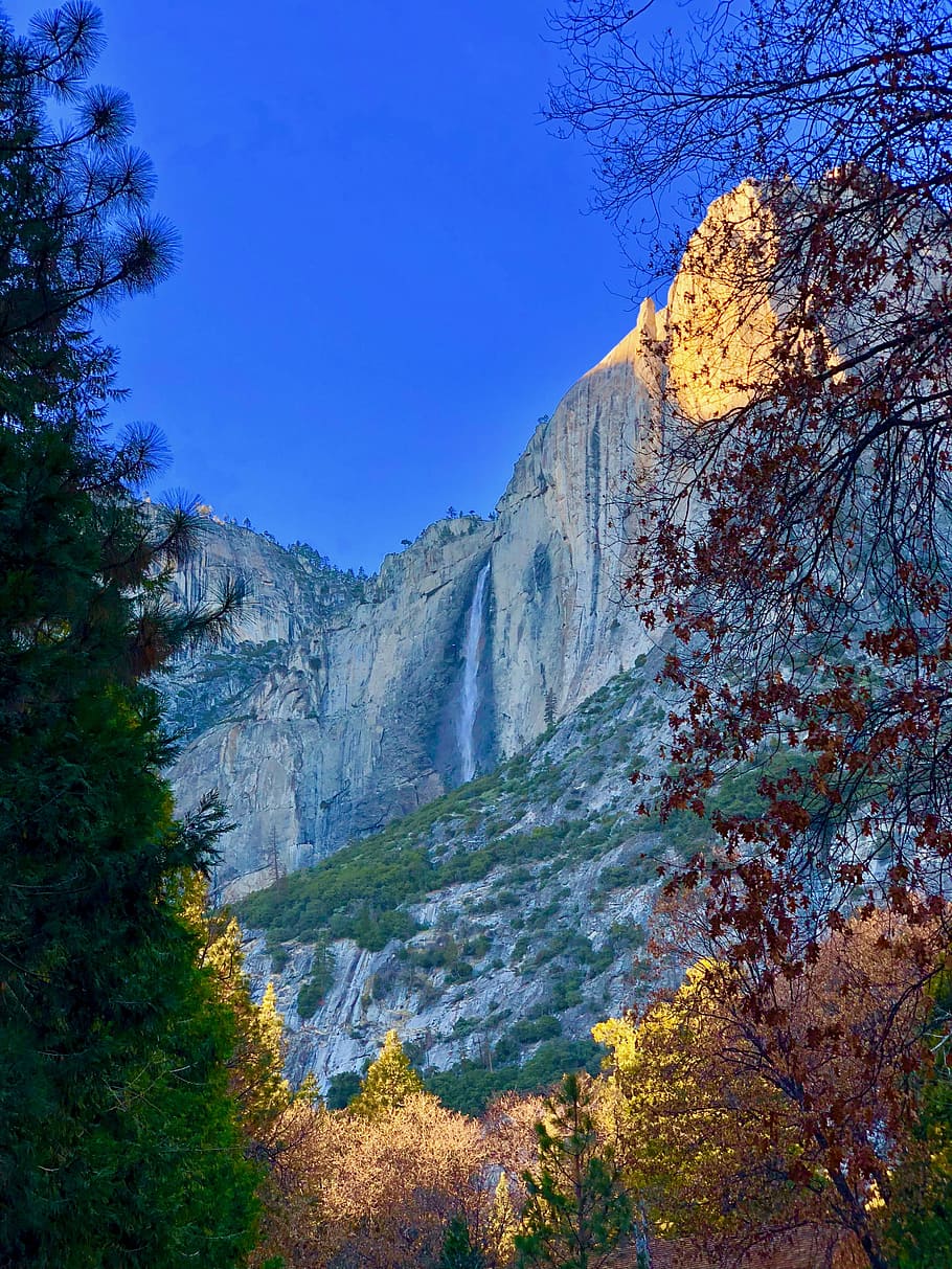 trees and mountain, cliff, rock, woodland, scenics - nature HD wallpaper