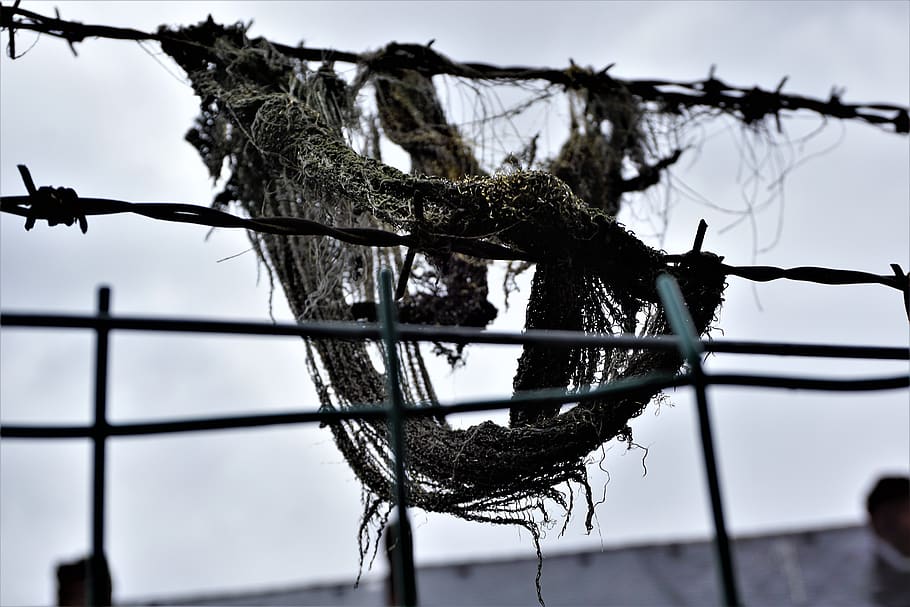 wire, sky, danger, outdoors, barbed wire, environment, no people HD wallpaper