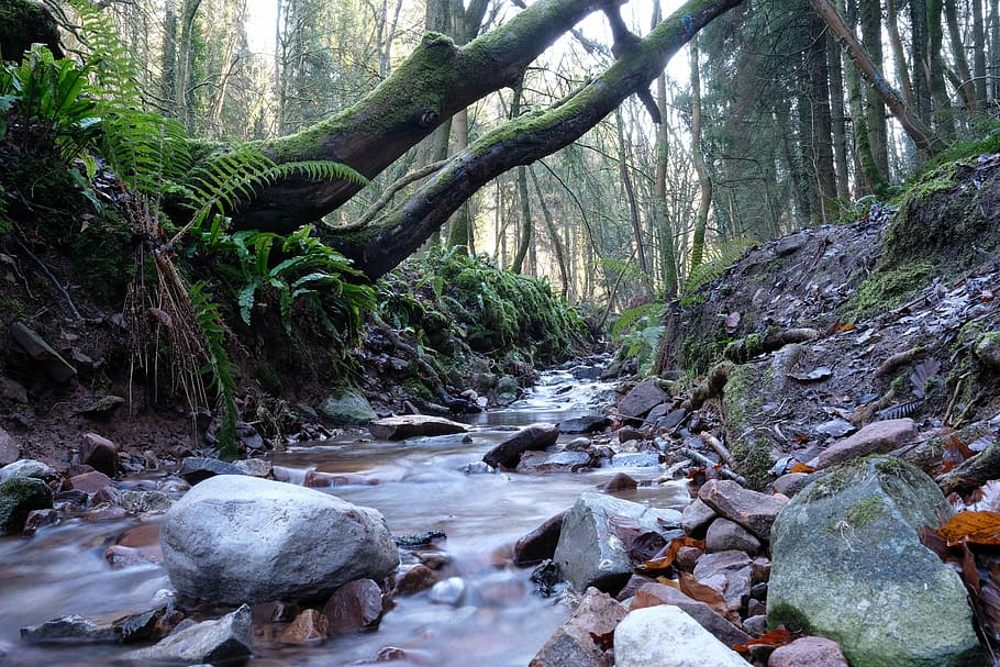 time lapse photography of river, stream, rocks, water, nature HD wallpaper