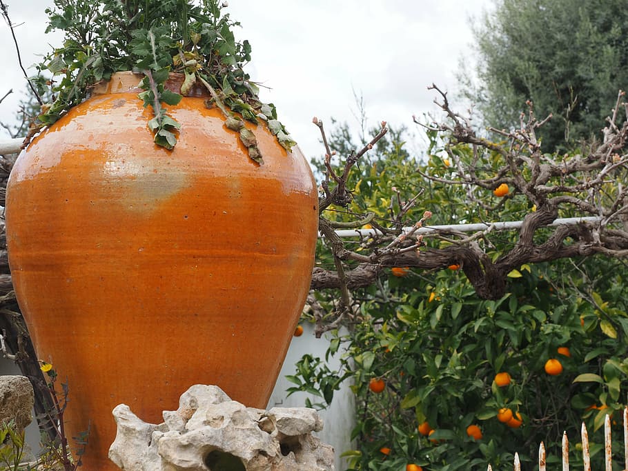 amphora, decoration, flower stand, terracotta, garden decoration HD wallpaper