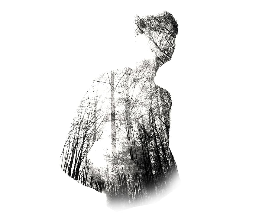man, forlet, back, white background, tree, plant, nature, copy space HD wallpaper