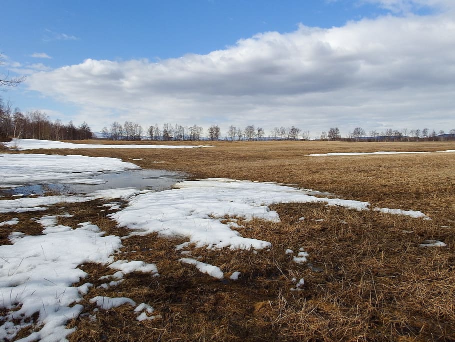 fields, spring, plowing, meadow, nature, landscape, tree, snow HD wallpaper