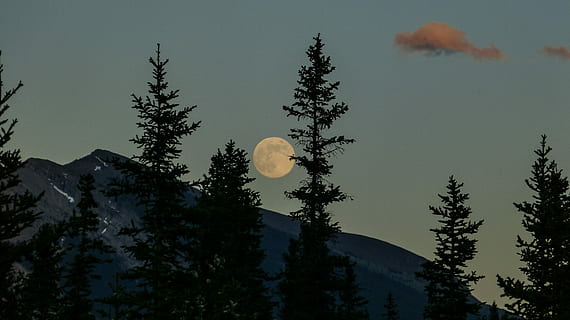 mountain and moon landscape photography, black mountain near green leafed trees during night time HD wallpaper