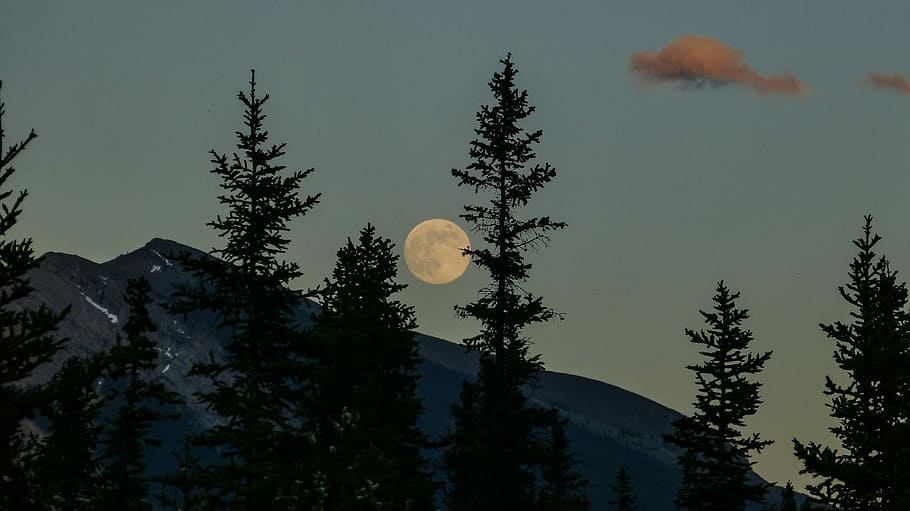 mountain and moon landscape photography, black mountain near green leafed trees during night time HD wallpaper