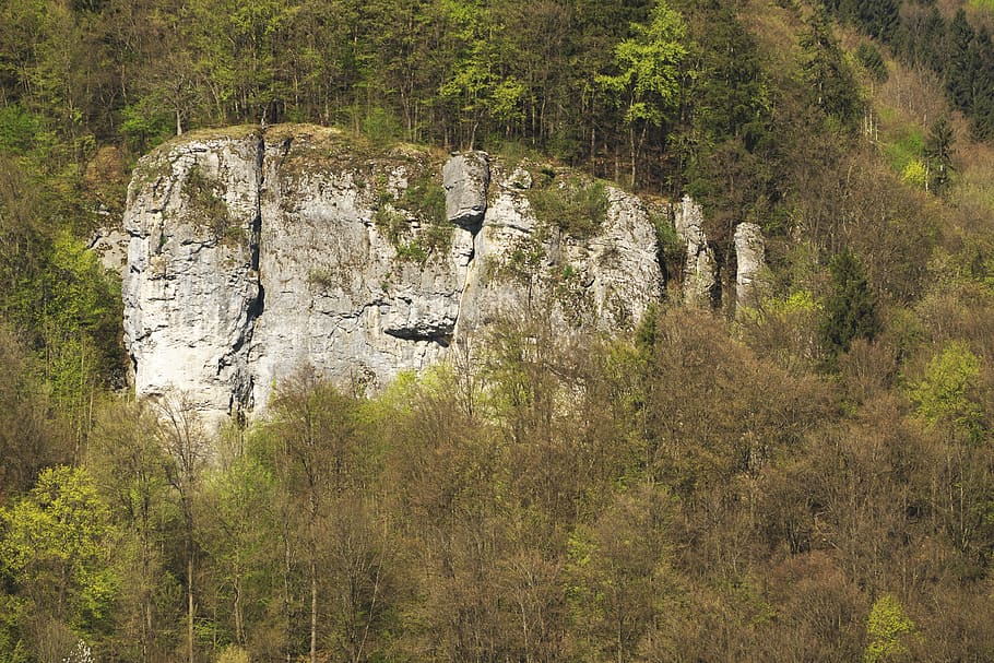 rock, trees, landscape, forest, green, spring, mountain, mountainous HD wallpaper