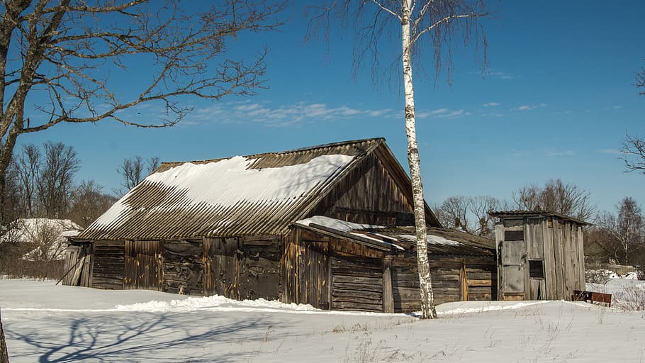 village, snow, exclusion zone, winter, nature, landscape, white, HD wallpaper