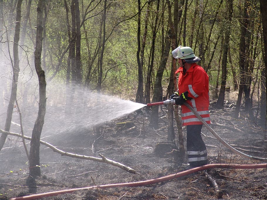 fire, brand, flame, fire fighting, slope fire, peat fire, tree HD wallpaper