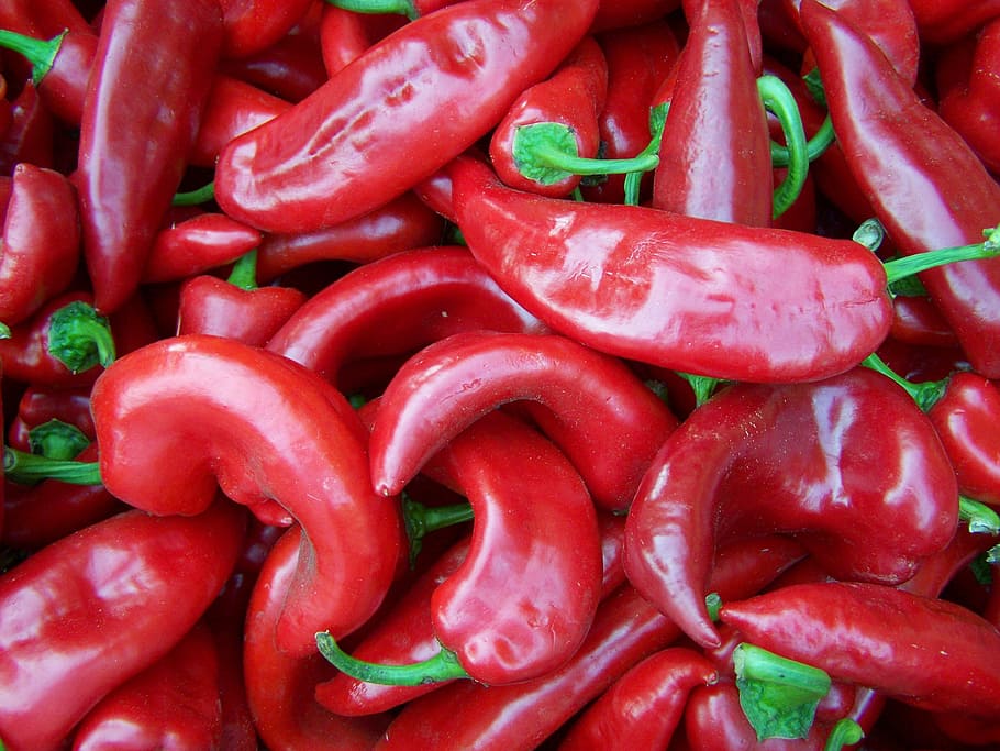 pepper, red, vegetables, food, spice, freshness, heat - Temperature HD wallpaper