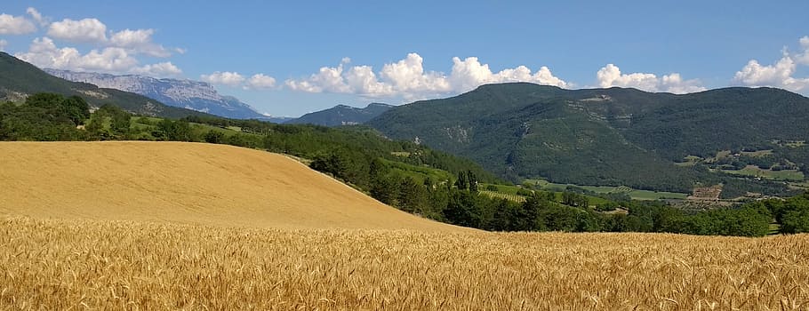 Clouds, Nature, Field, Cornfield, mountains, landscape, panorama HD wallpaper