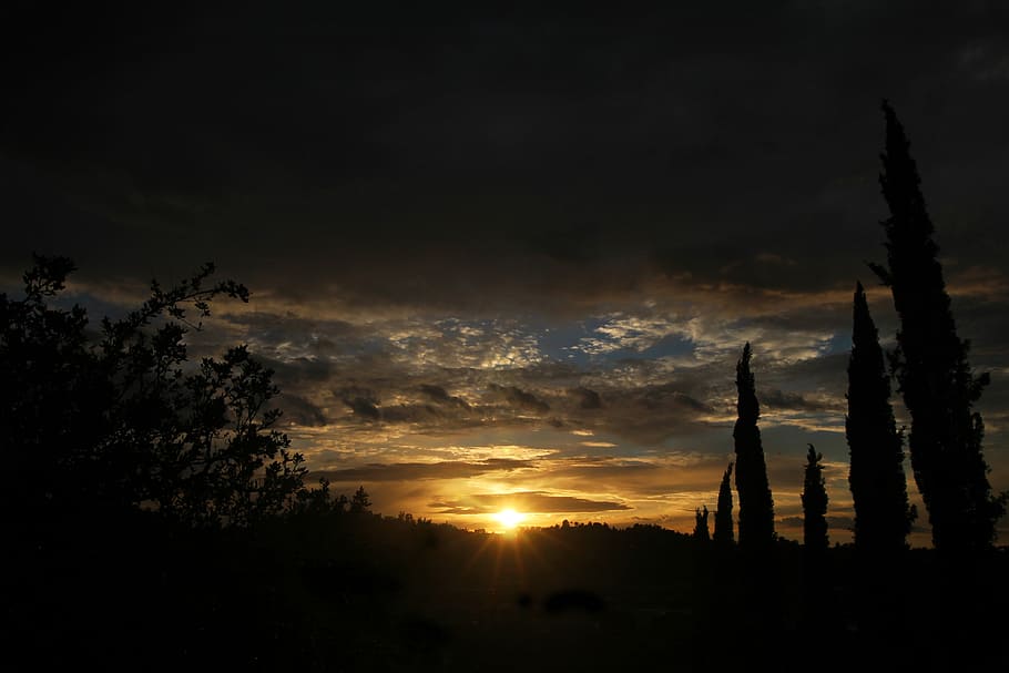 sunset, sky, cloud, horizin, yellow, dawn, view, light, orange HD wallpaper