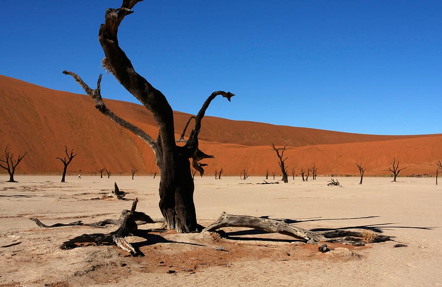 namibia, sossusvlei, dunes, nature, hills, desert, landscape, HD wallpaper