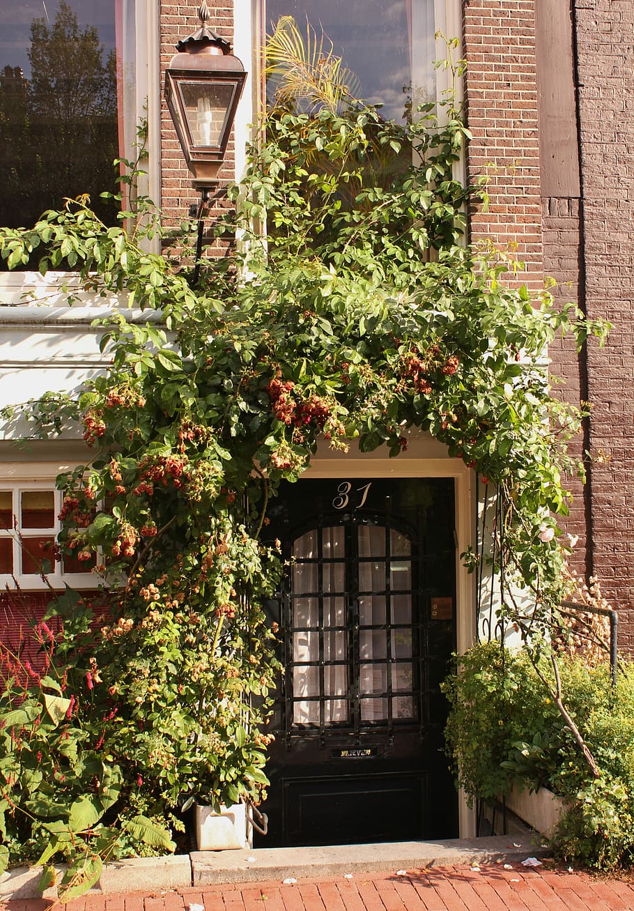 Apartment, Input, Front, Door, Door, front door, window, architecture HD wallpaper