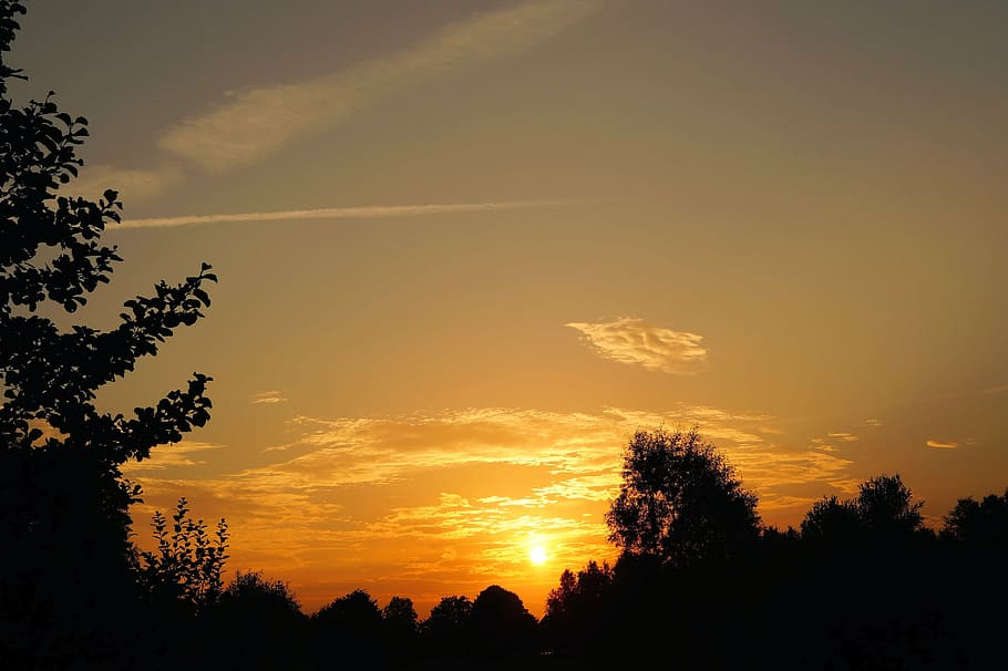 sunset, landscape, romantic, nature, clouds, sky, tree, evening sky HD wallpaper