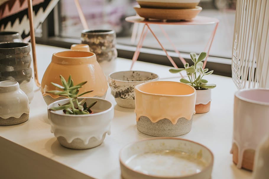 two green succulent plants on white and brown ceramic pots, green succulent plant on white pot on tabletop HD wallpaper