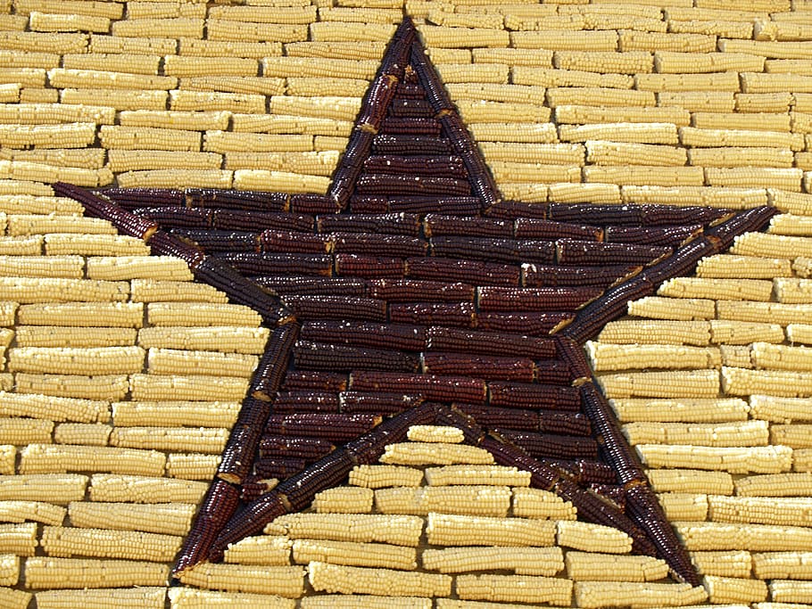 Corn Palace, star, mitchel, building, mitchell, south dakota HD wallpaper