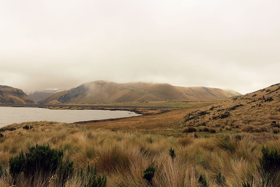 low-angle of mountains near body of water, green and brown hay near body of water during foggy day HD wallpaper