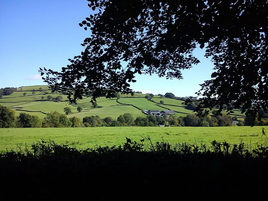 devon, country side, countryside, nature, england, yarty valley HD wallpaper