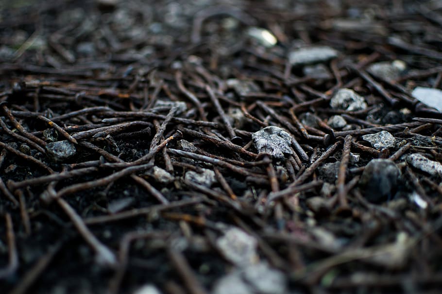 gray nail lot on floor, selective focus photo of rusted brown nails on ground HD wallpaper