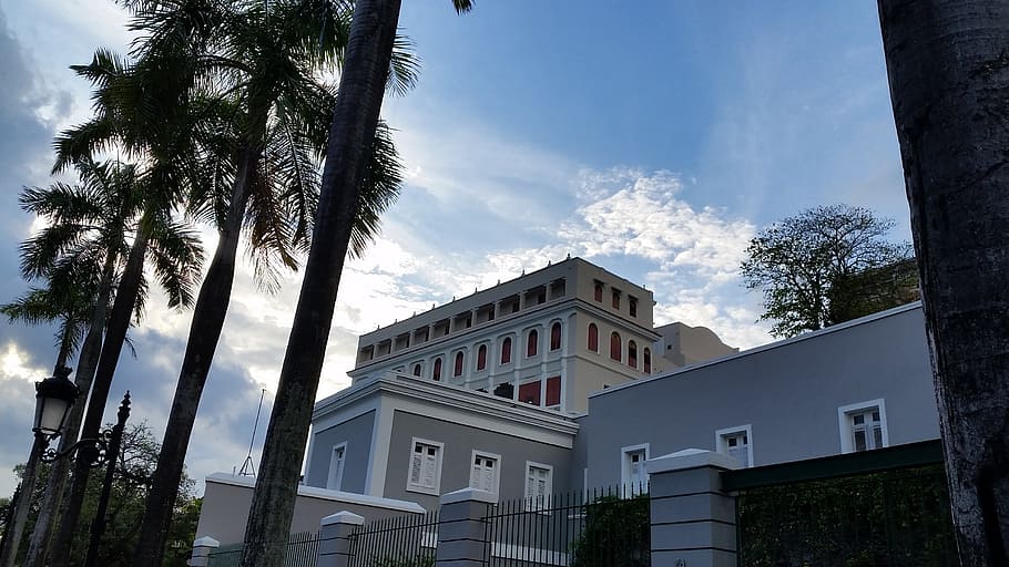 sky, cloud, blue, nature, white, tree, palm tree, architecture HD wallpaper