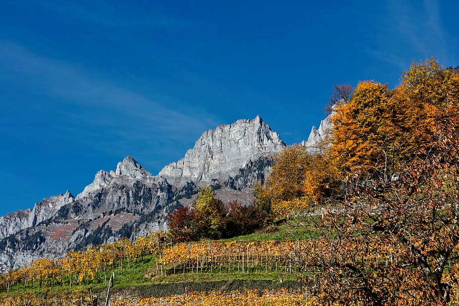 photo of mountain range near brown trees under clear sky, rocky mountain near tree HD wallpaper