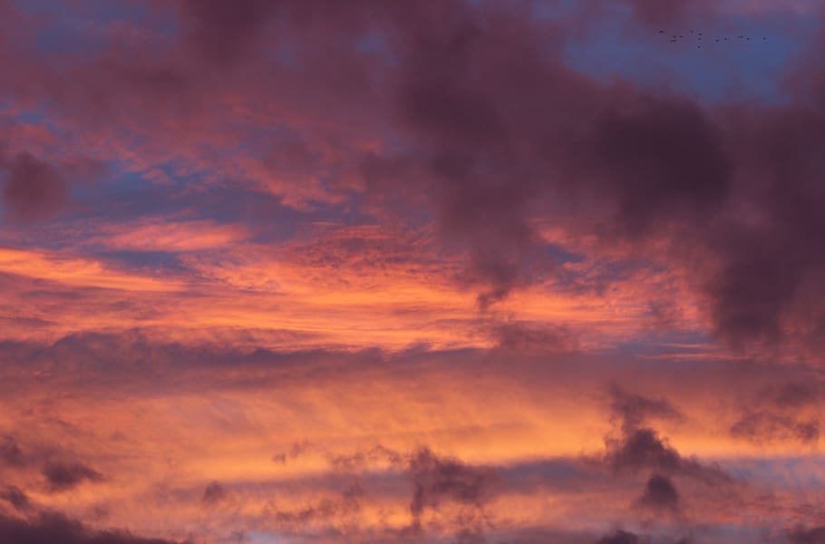 sky, clouds, evening, west, the sun, sunset, landscape, light HD wallpaper