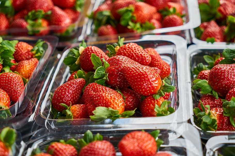 Strawberry, Horizontal, Macro, red, beautiful, fruit, nature HD wallpaper