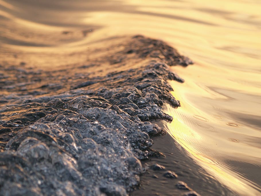 nature, sunset, evening, lake, wave, water, land, selective focus HD wallpaper