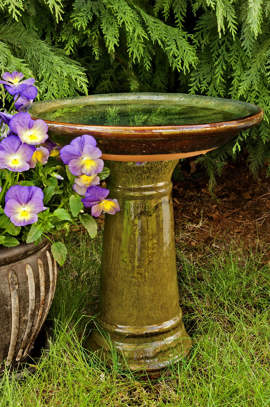 bird, bath, bird bath, water, garden, animal, wildlife, bathing HD wallpaper
