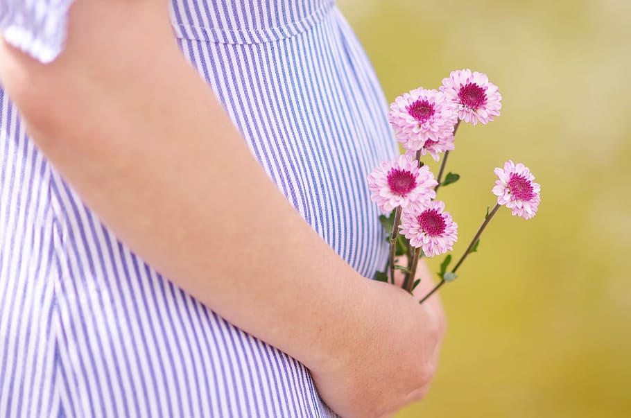 pregnant woman holding petaled flowers, person holding pink flowers, HD wallpaper